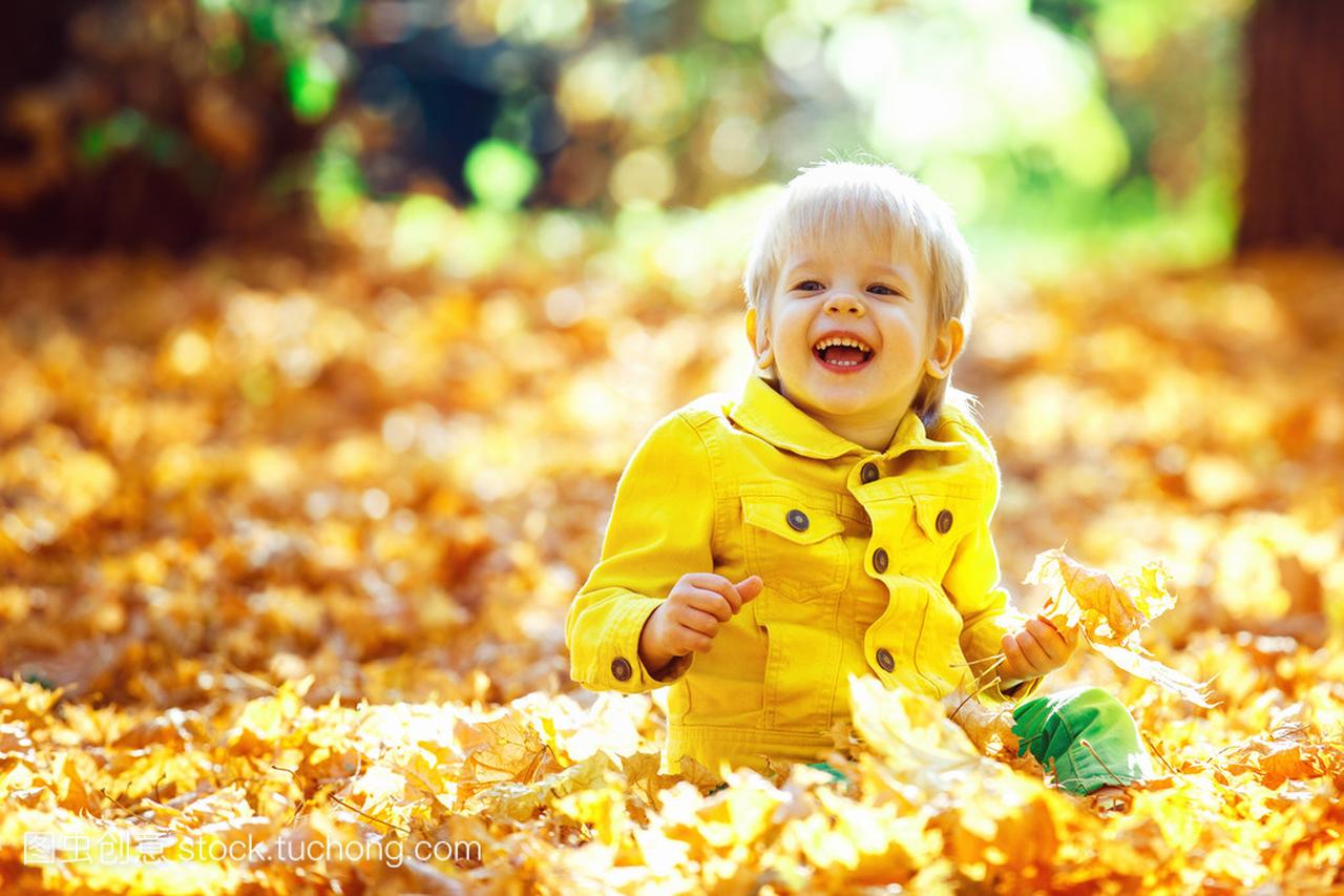 小小快乐的男孩,在黄夹克玩树叶在金色的秋天