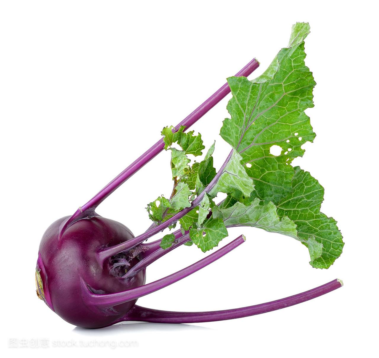 珍しい野菜作り 紫色の水菜「紅法師」収穫できました。サラダで楽しめます。 - farm andante 美味しい野菜とふれあい菜園