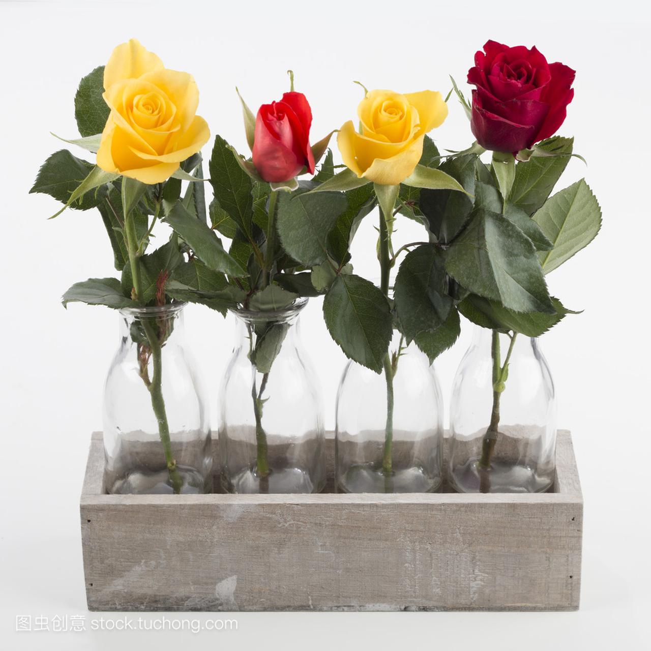 四朵玫瑰在四个花瓶孤立