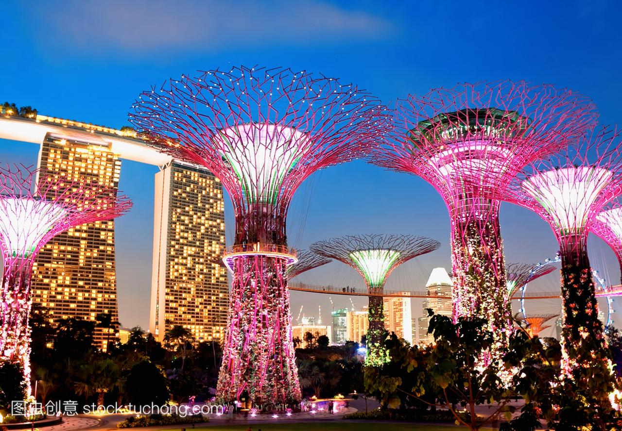 在花园附近滨海湾,新加坡服饰小树林