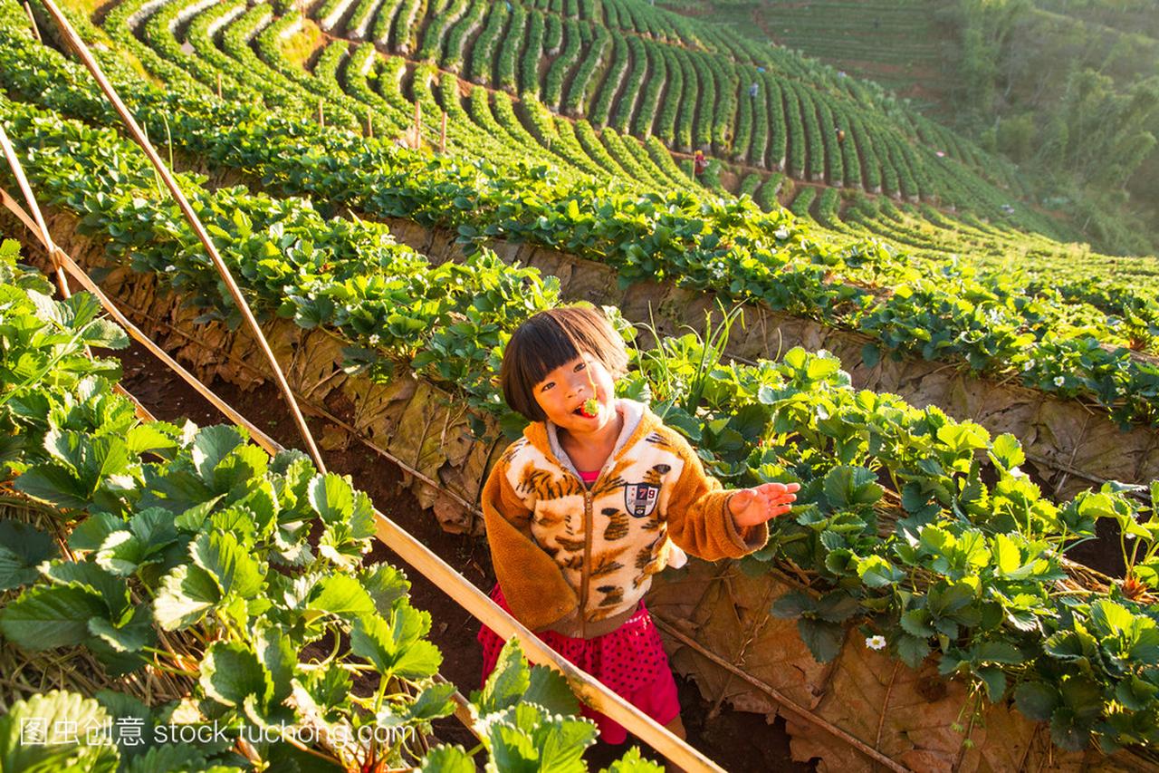 清迈,泰国,2015 年 10 月 20 日-未知的名称女孩