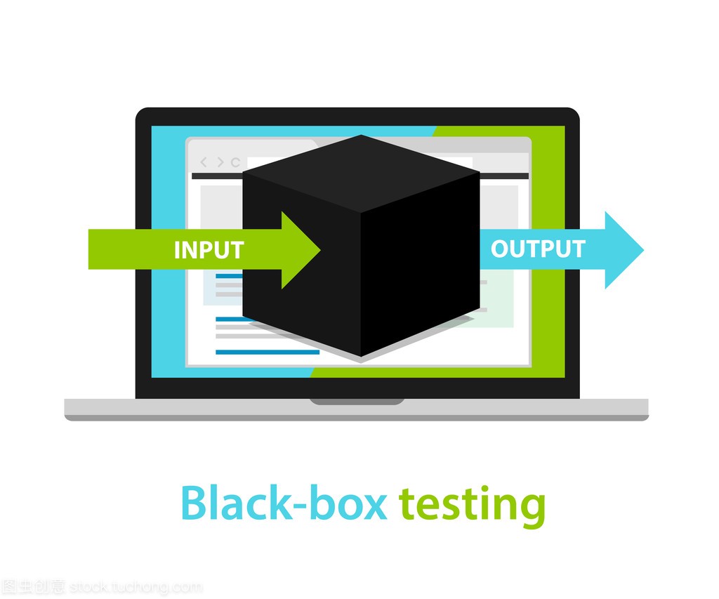 黑箱测试输入输出过程的软件开发方法