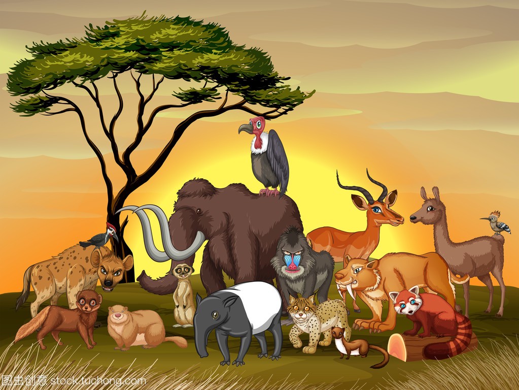 野生动物在热带稀树草原领域