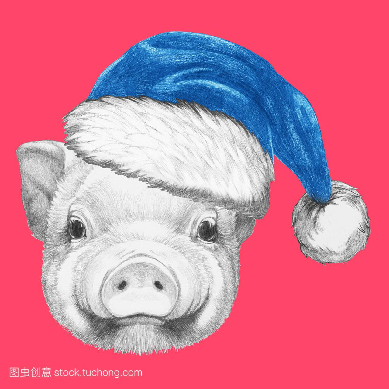 与圣诞老人的帽子的小猪的画像
