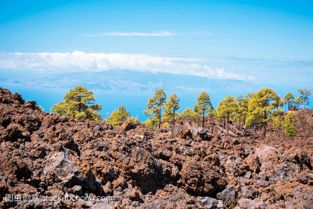 熔岩地貌泰德火山特内里费岛金丝雀