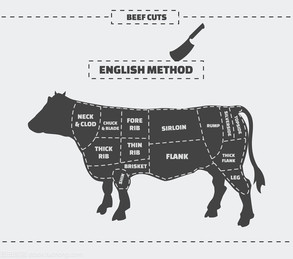 削减的牛肉。英语的方法。在灰色的背景上向量