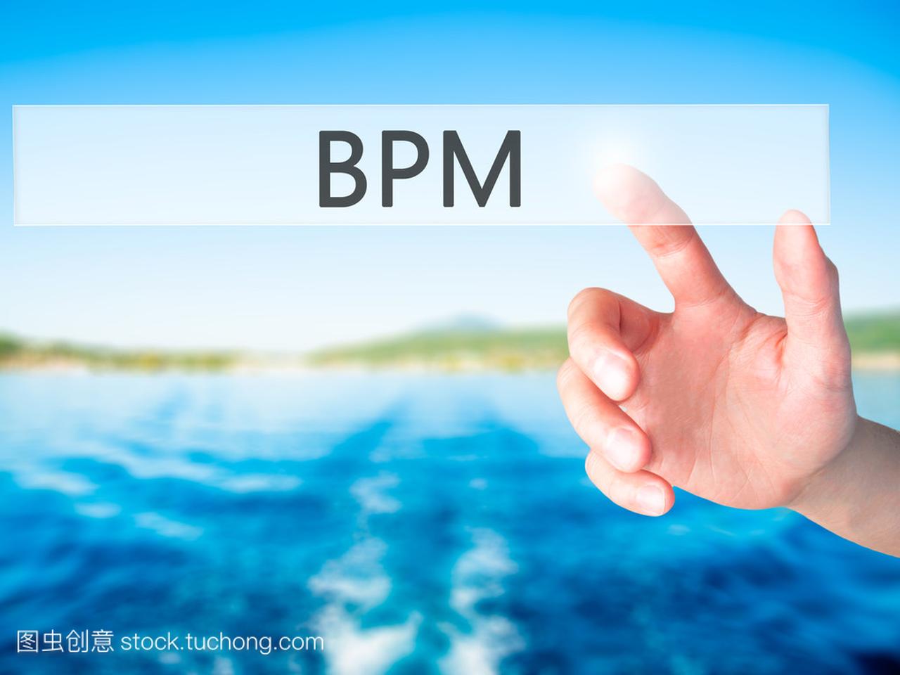 Bpm (业务流程管理)-手上 bl 按钮