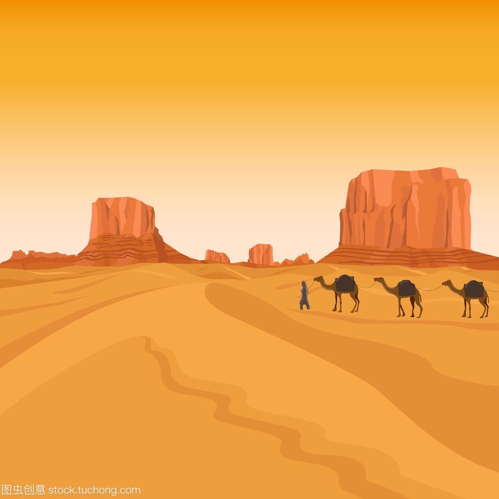 埃及撒哈拉沙漠的骆驼