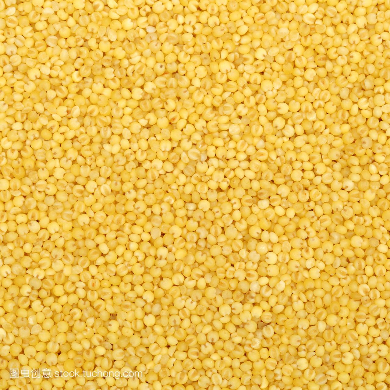 黄籽小米