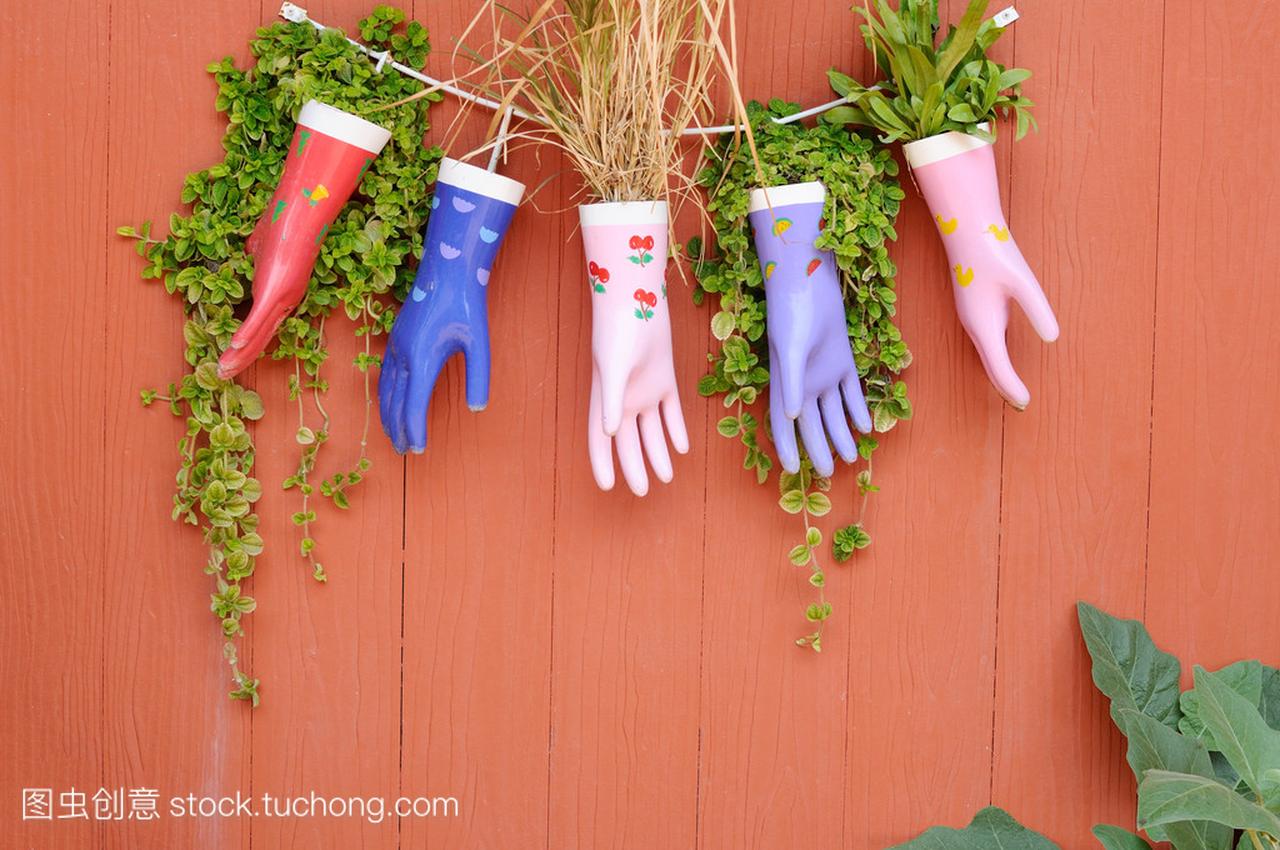 许多彩色橡胶手套挂在墙上的植物