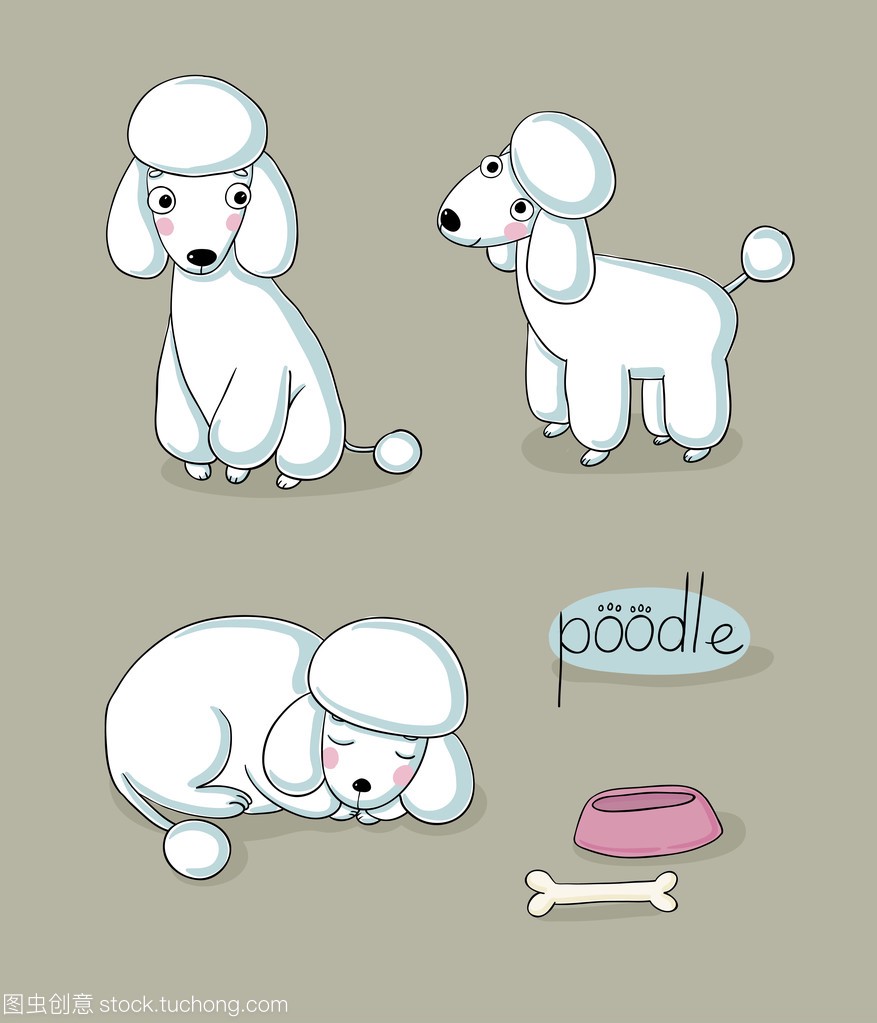 Set of cute poodle illustration in different 