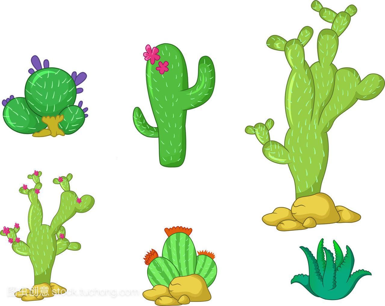 不同类型的仙人掌植物现实装饰图标设置为你设计