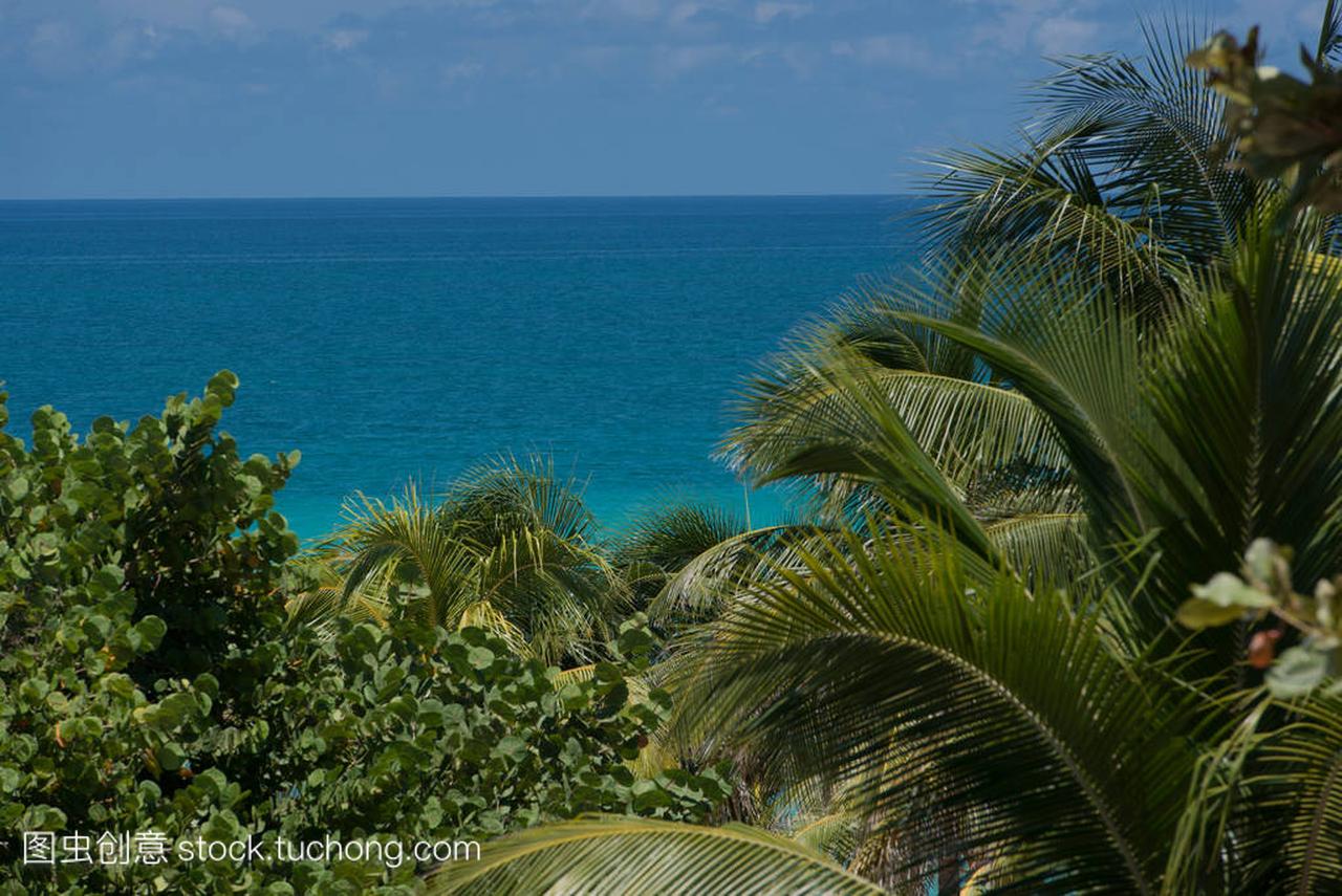大西洋海岸与古巴的绿松石海域