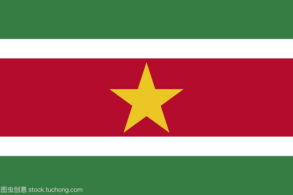 苏里南官方矢量旗子。苏里南共和国