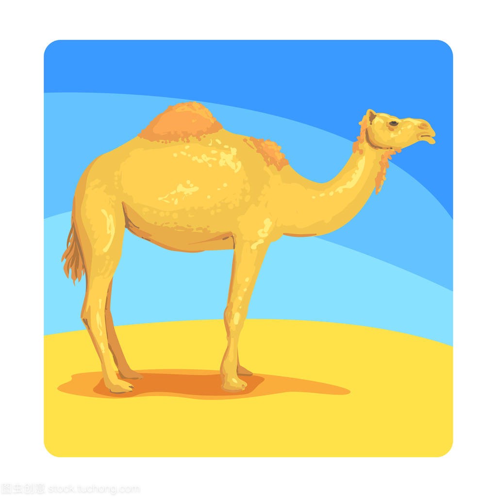 骆驼的著名旅游景点的阿拉伯联合酋长国。阿拉
