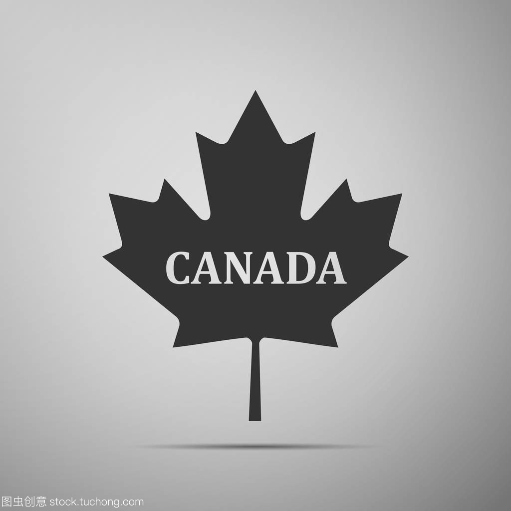加拿大的枫叶,与城市名称加拿大平面图标在灰