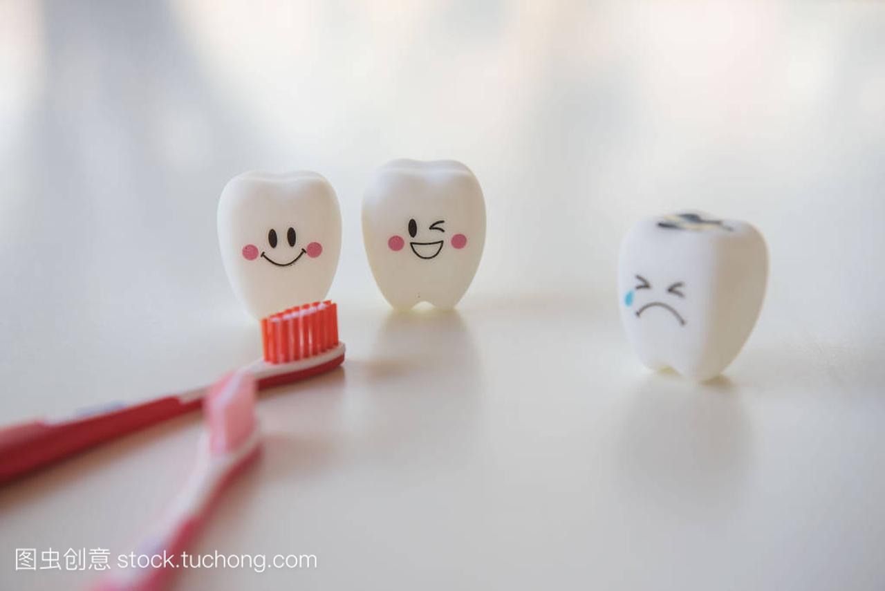 在白色背景上的牙科模型玩具牙齿