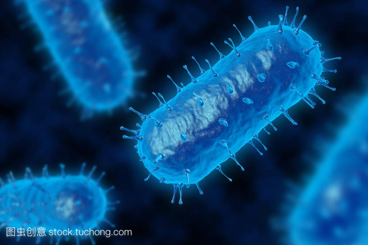 显微镜下的细菌细菌的 3d 渲染