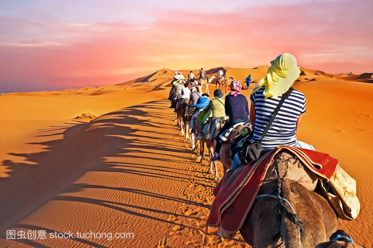 日落时在摩洛哥撒哈拉大沙漠的沙丘上的骆驼商