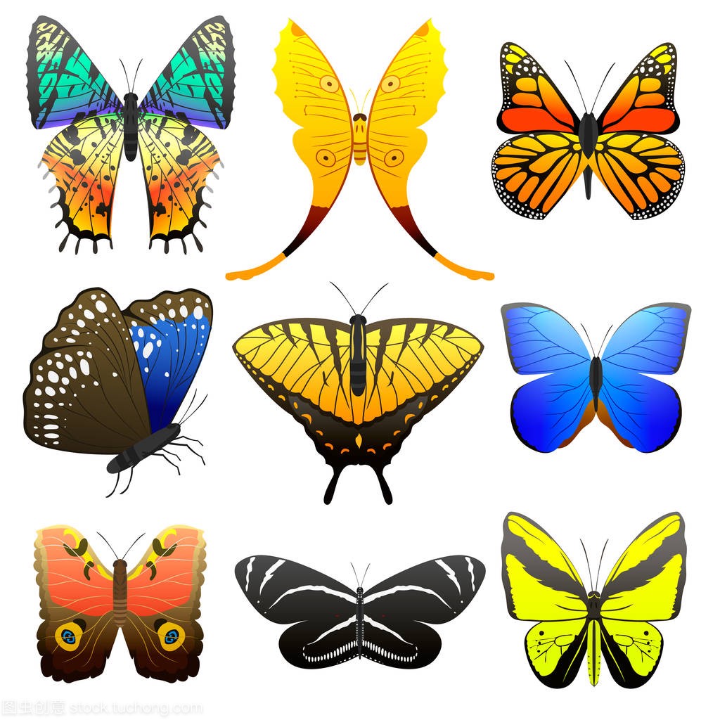 与抽象装饰图案图形夏季免费不同蝴蝶飞目前的