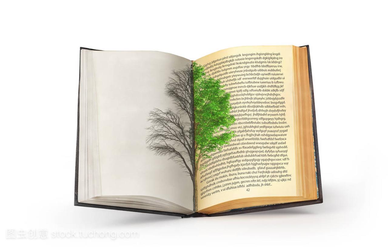 阅读的概念。对偶树发表在一本打开的书。的