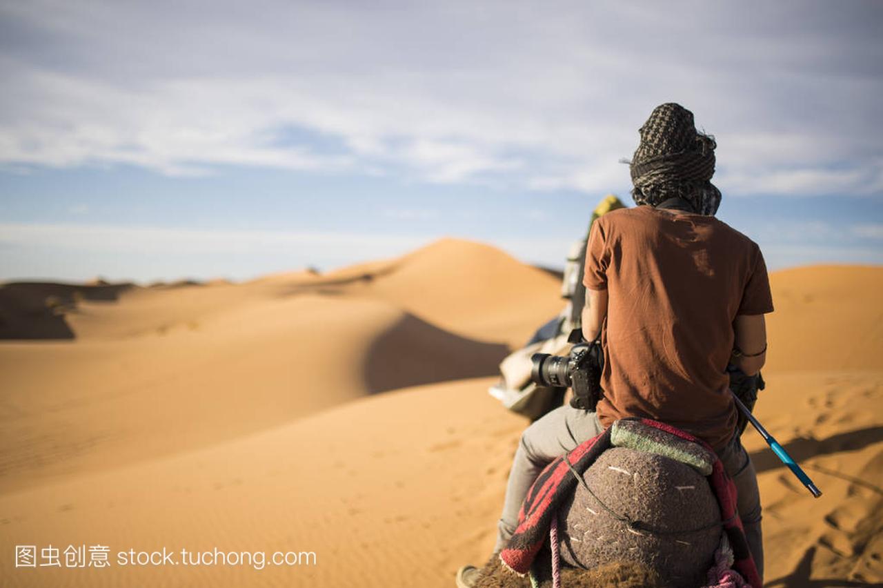 骑骆驼上正在通过在撒哈拉沙漠的沙丘在日落时