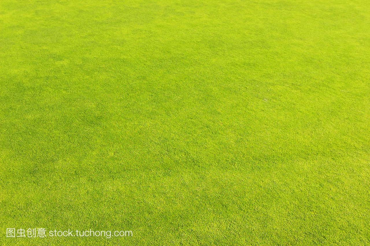 绿色的高尔夫球场草地背景