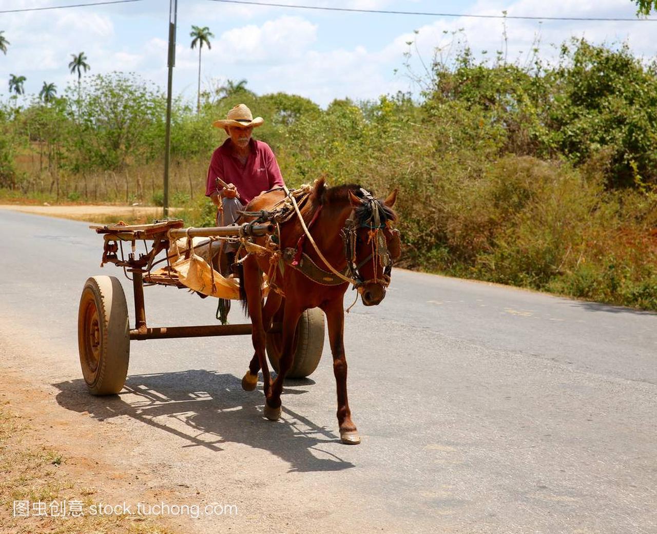 农民们开马和马车在古巴