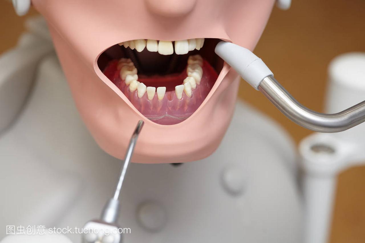 模特或假人的牙医学生培训牙科系