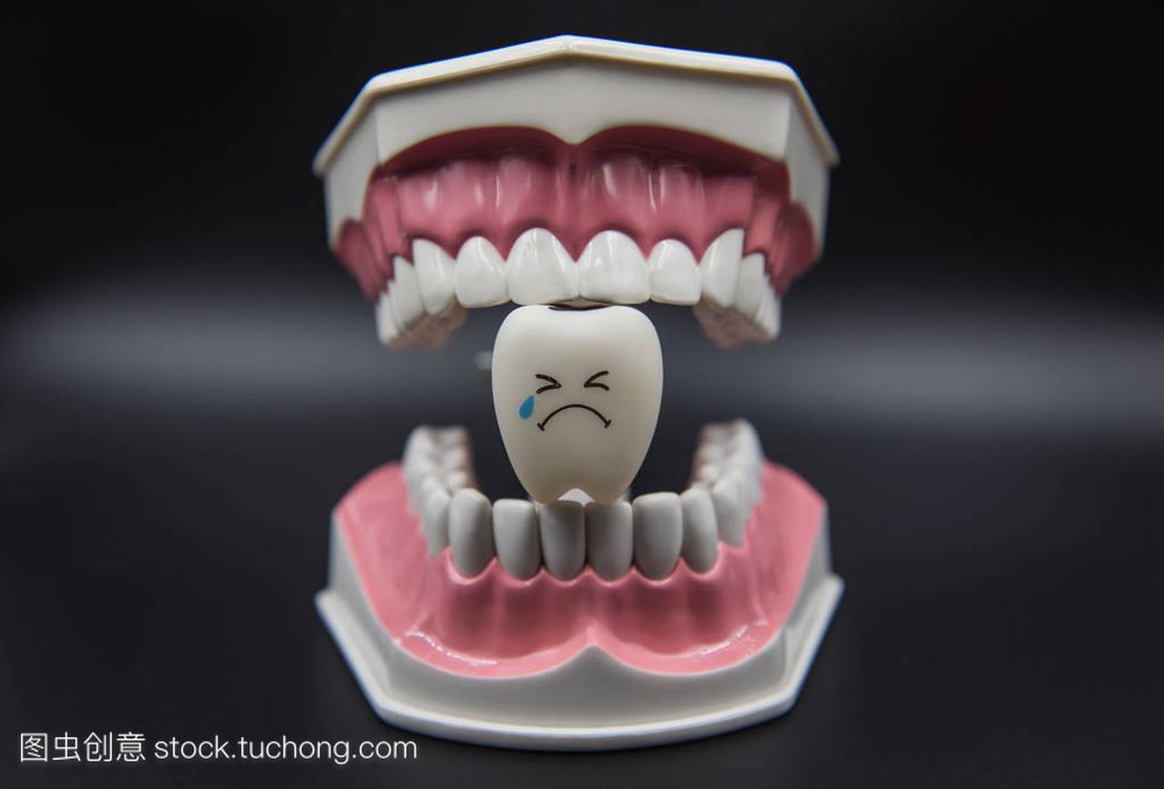 在黑色背景上的牙科模型可爱玩具牙齿