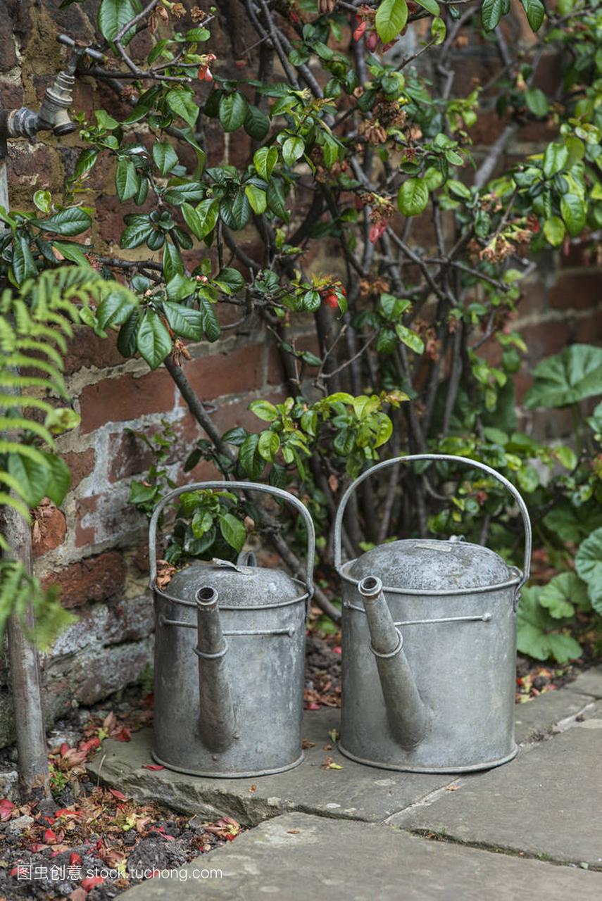 两个老浇水罐在英语国家 g 复古风格形象