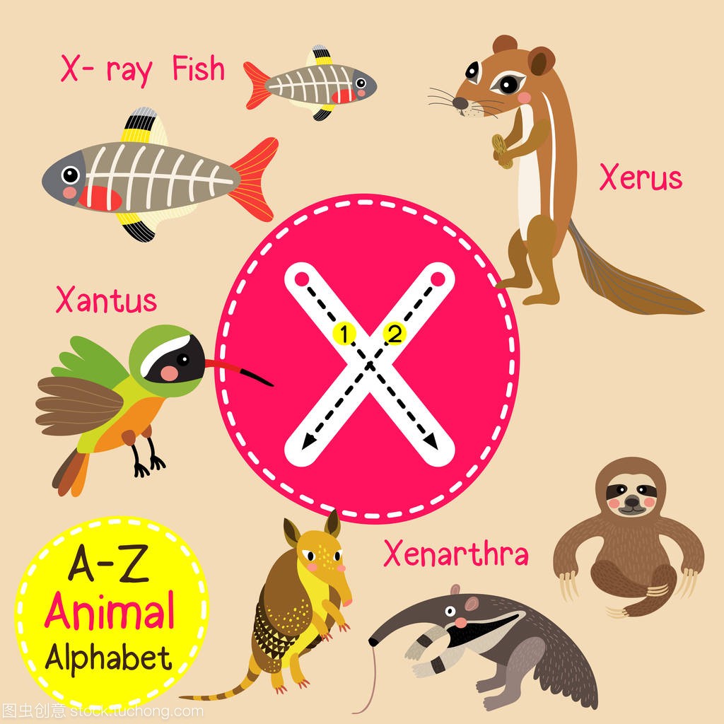 可爱的儿童动物园字母 X 字母追踪的有趣动物