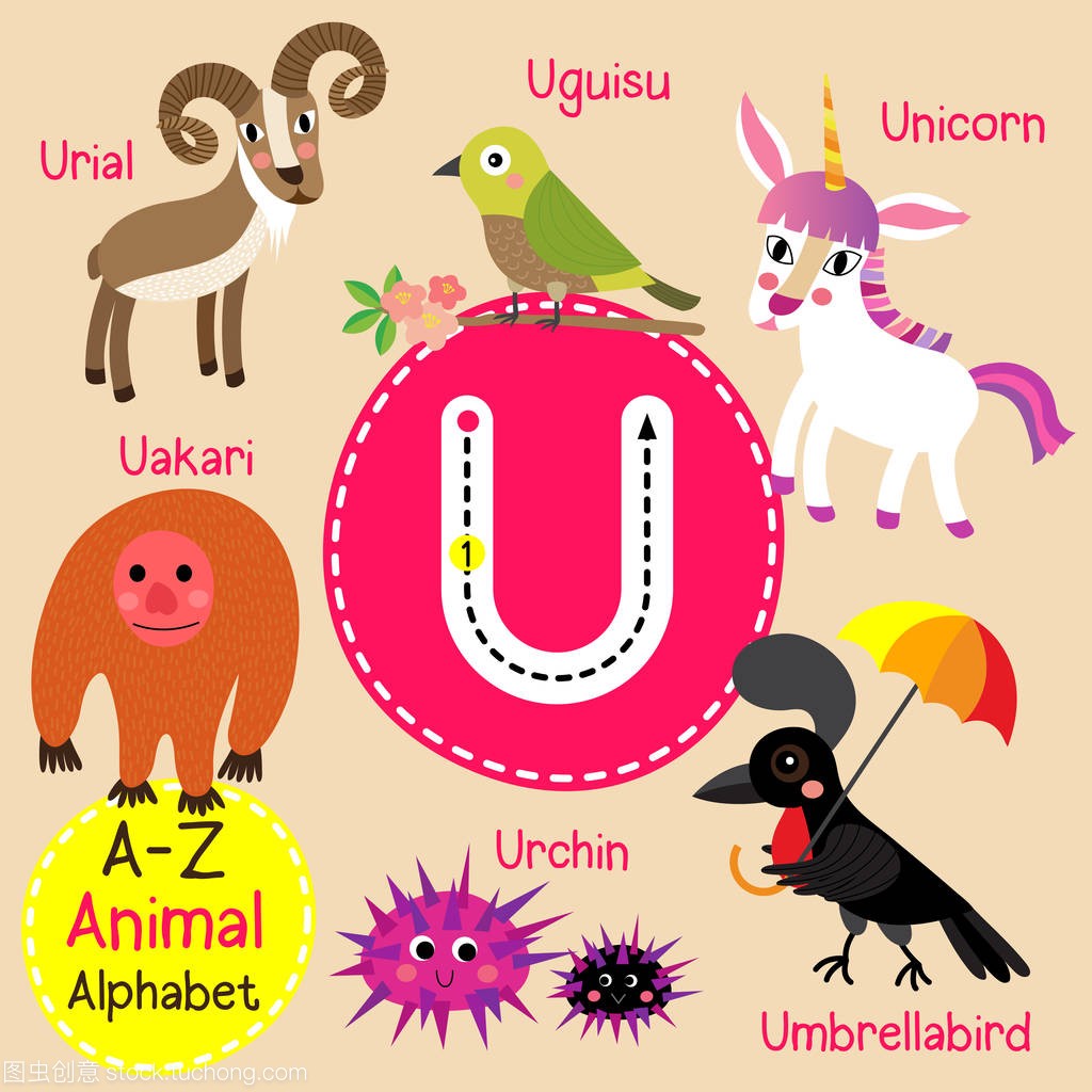 可爱的儿童动物园字母 U 信追踪的有趣动物卡