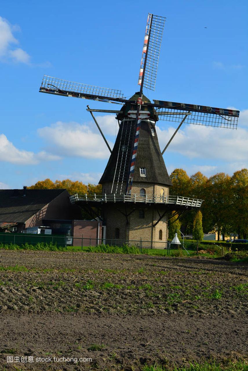 与传统的荷兰粮食风车景观