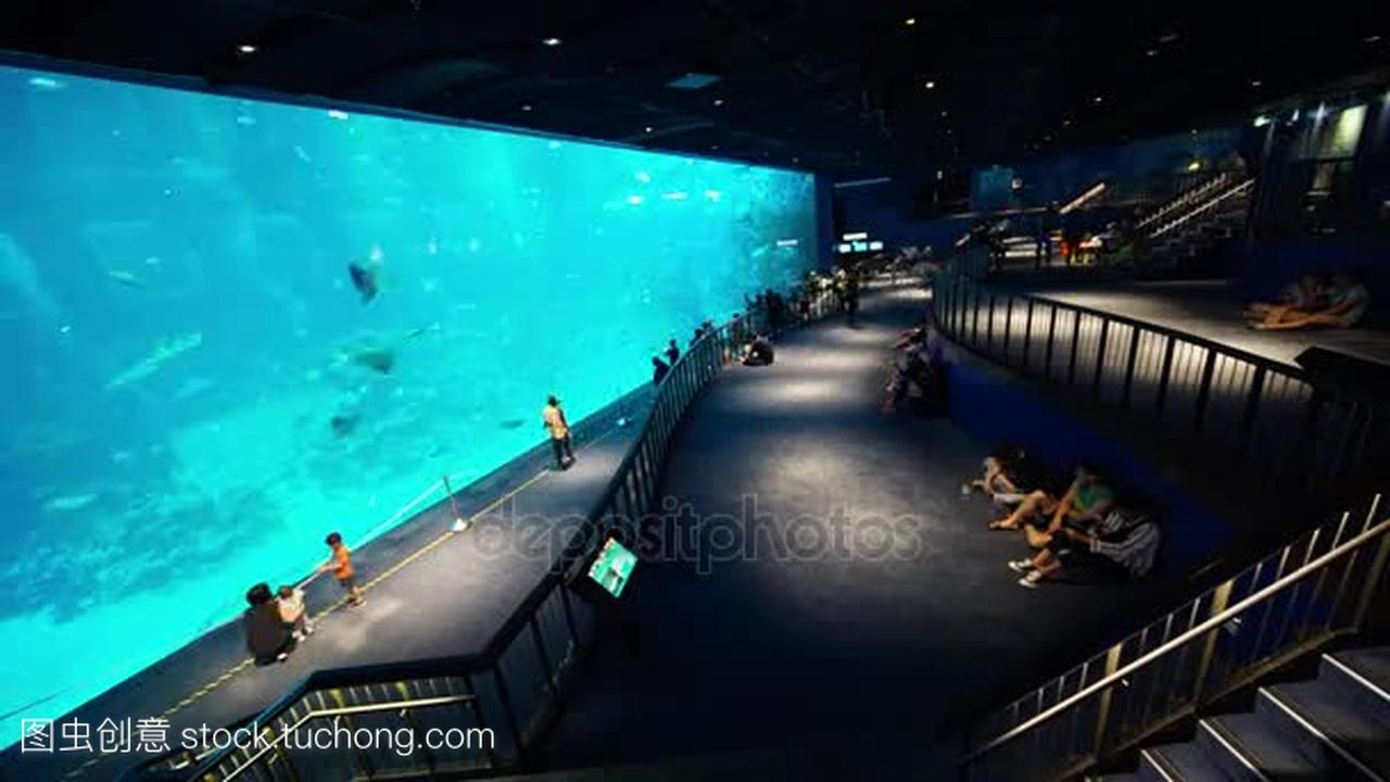 新加坡海洋水族馆时差