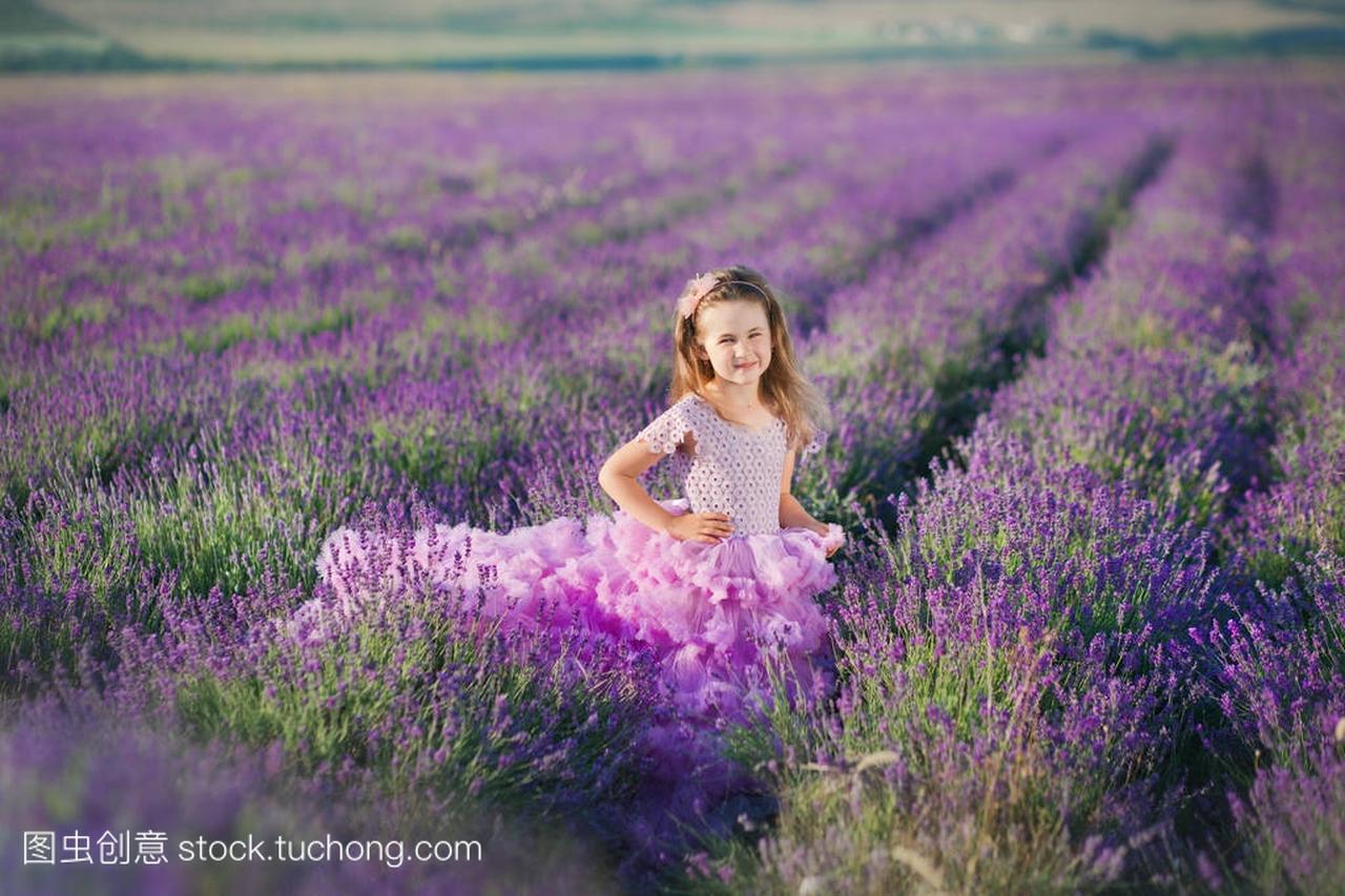 一个穿着熏衣草地里美丽的紫色连衣裙的女孩。