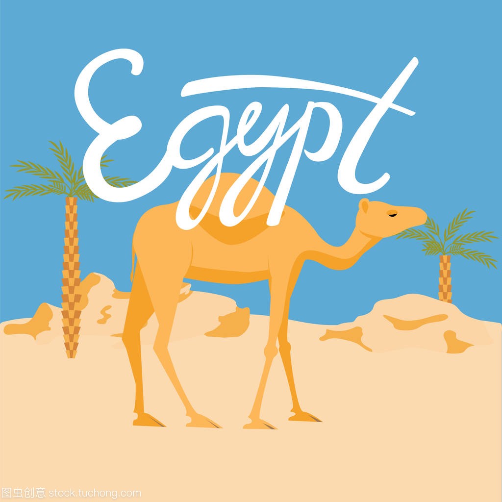 骆驼在 desery。埃及刻字