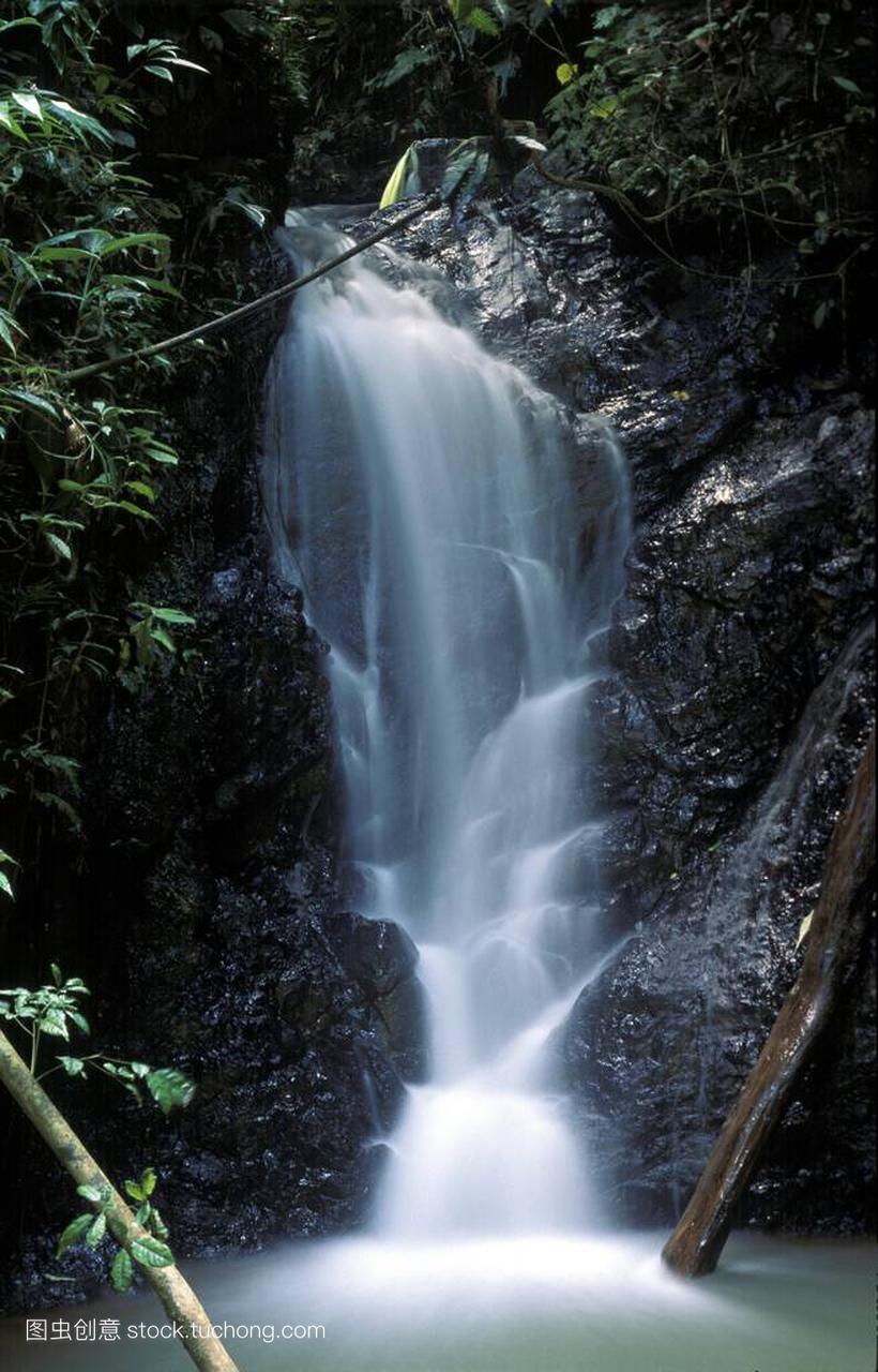 林中的瀑布-Nationalpark Guatopo 在米兰达-委内瑞拉