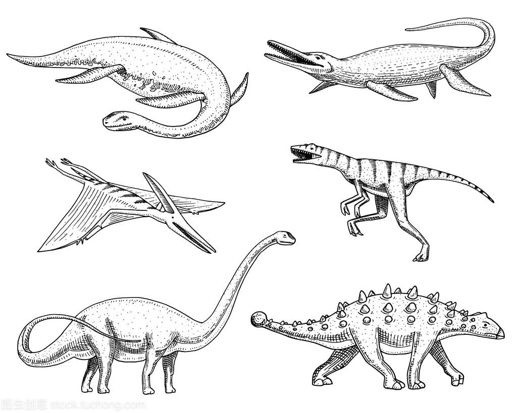 龙, Mosasaurus, Barosaurus, 梁龙, 环江, 甲龙,