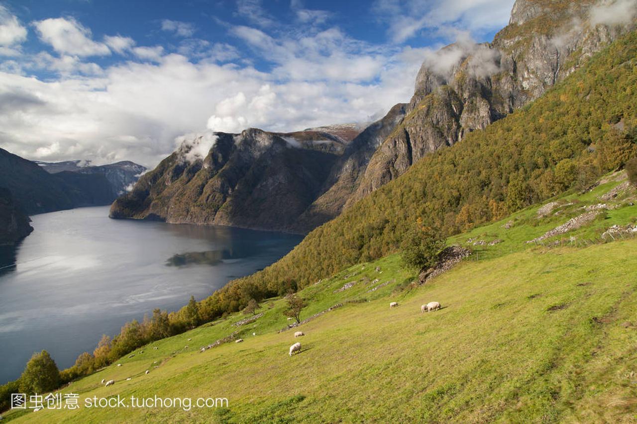 Aurlandsfjord