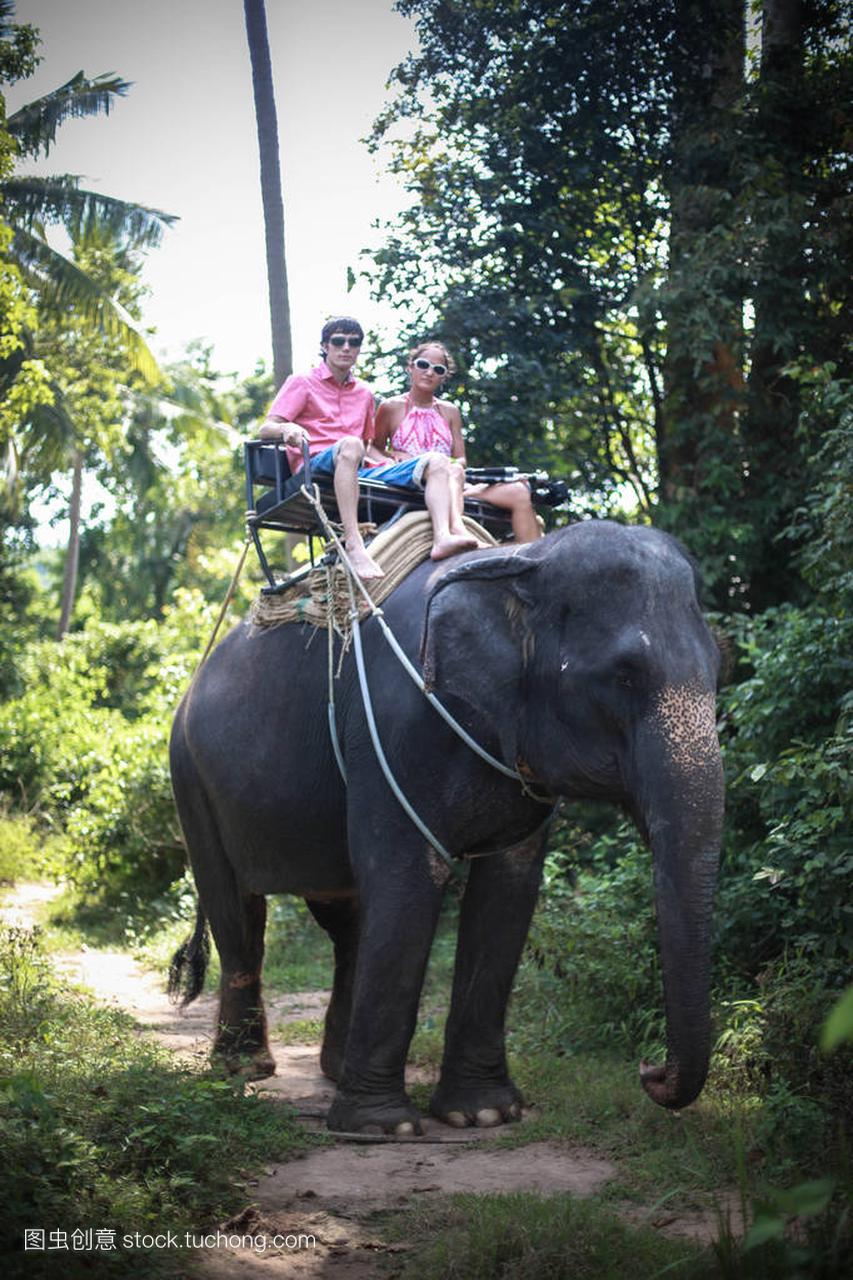 一对年轻的情侣在泰国大象农场骑大象。旅游景