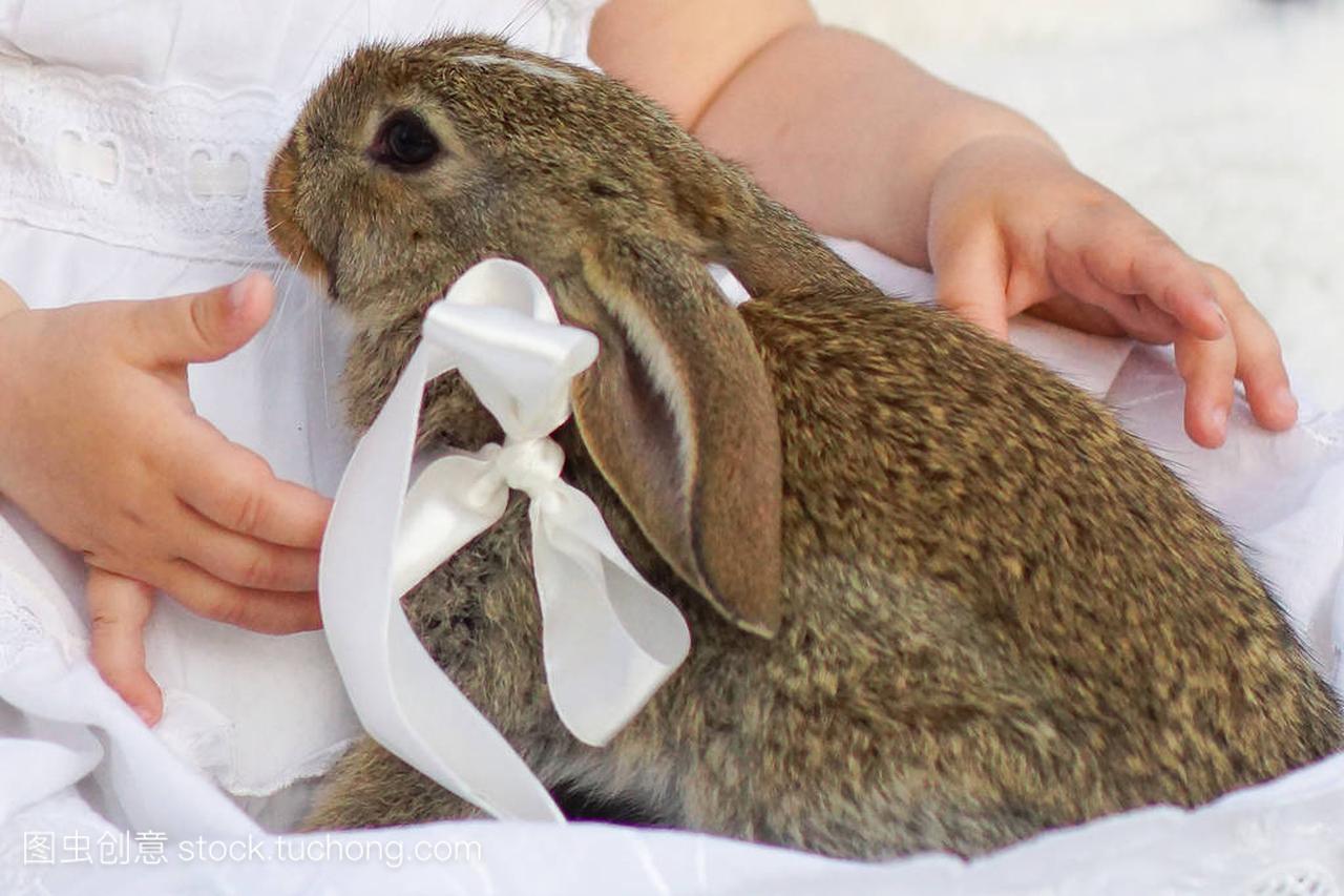 小女孩白色礼服与小兔子
