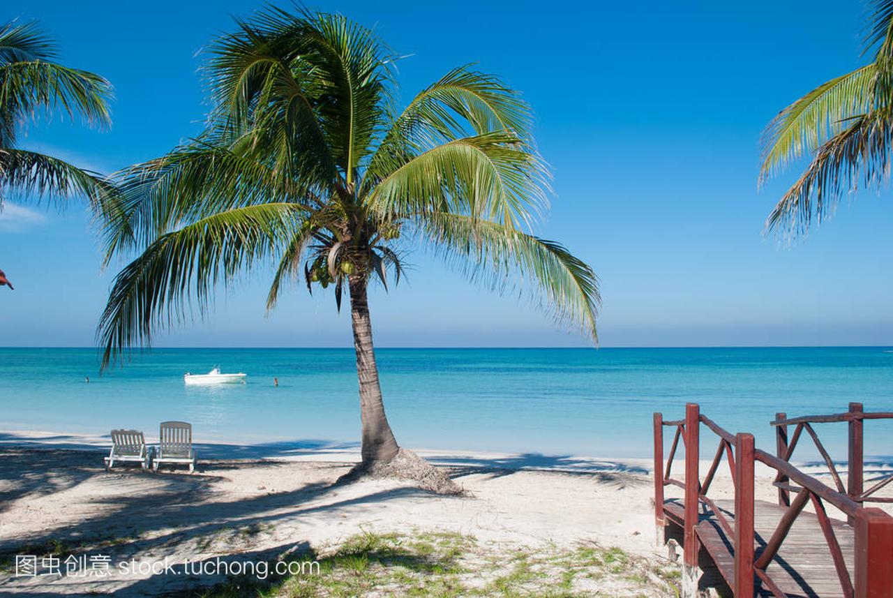 棕榈在古巴岛 Jutias 海滩。船和蓝海有