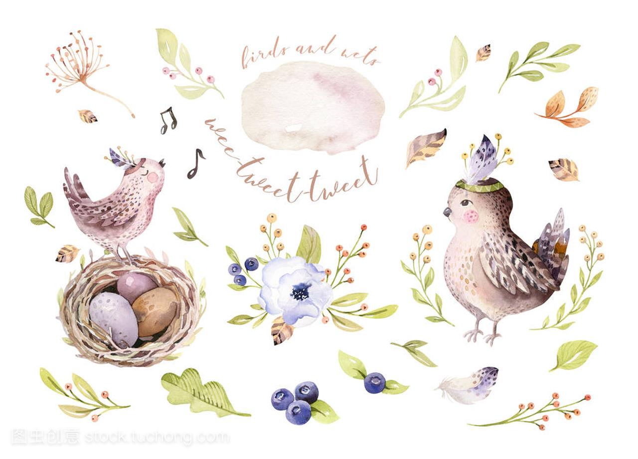 手绘复活节水彩动画片鸟和鸡蛋与树叶, 树枝和