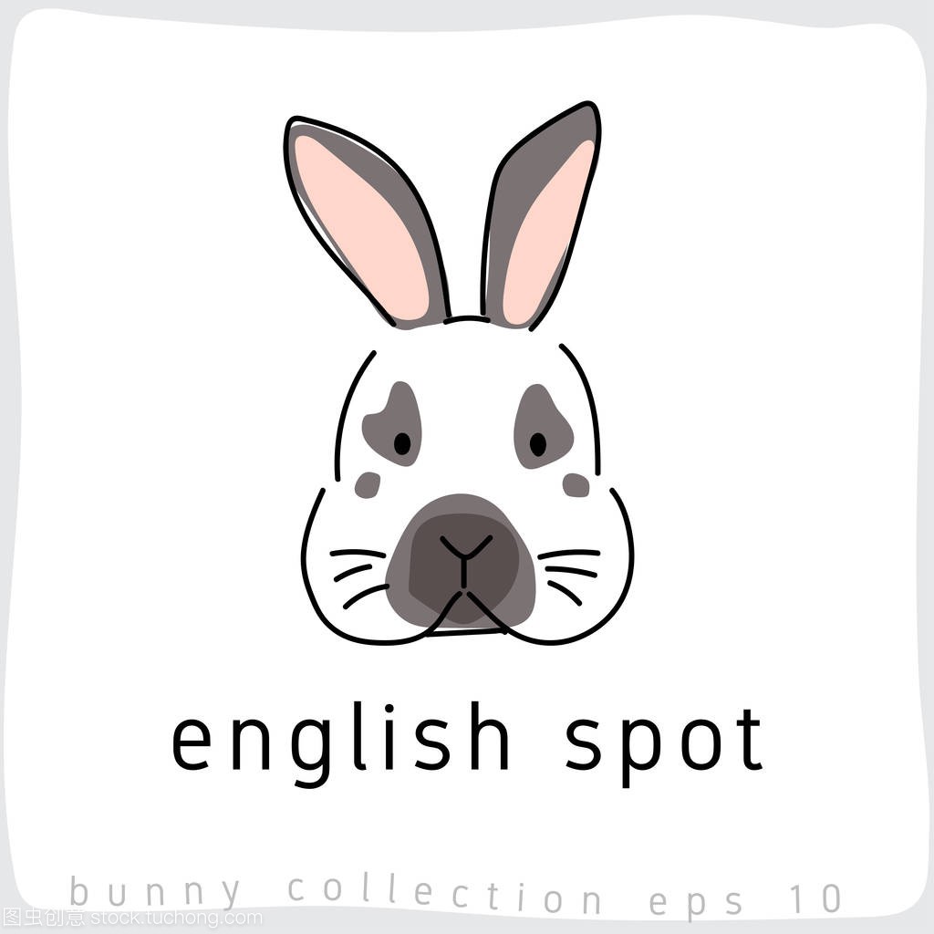 英语斑点: 兔品种收藏: 矢量插画