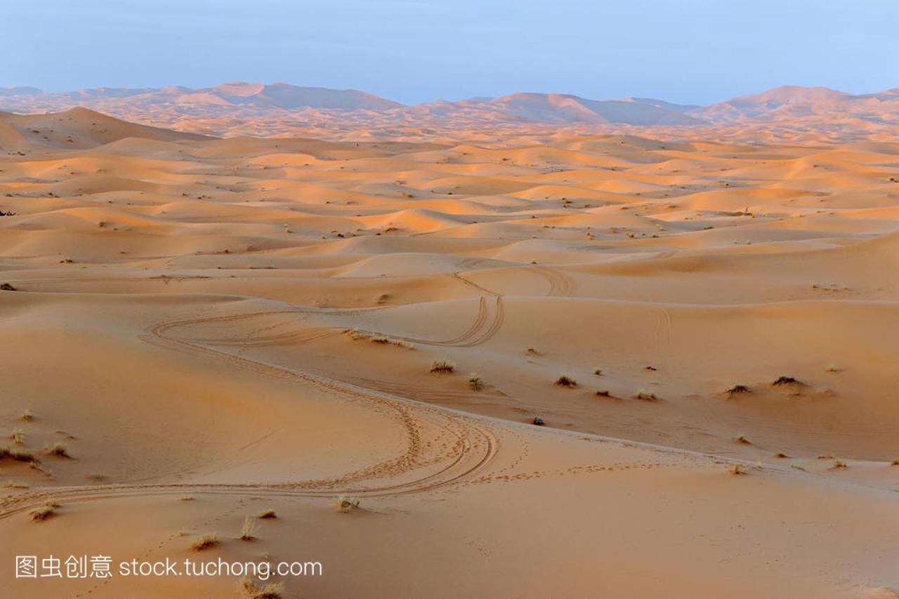 撒哈拉大沙漠中的金色沙丘