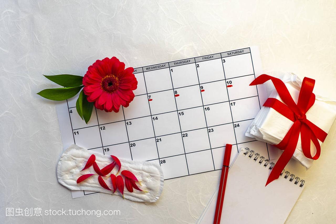 月经日历用笔记本, 棉条, 红花。妇女重要天, 妇