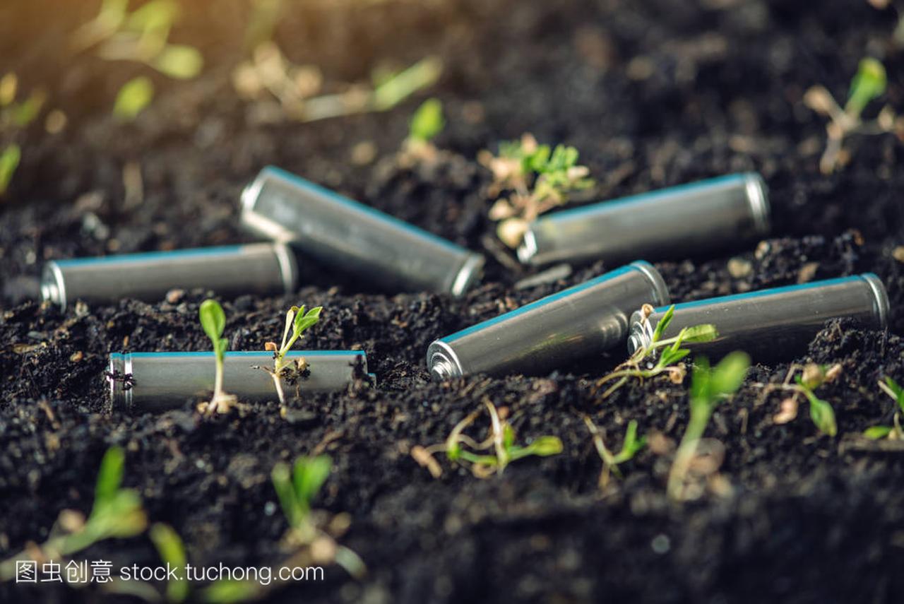 使用过的碱性电池位于植物生长的土壤中。环境