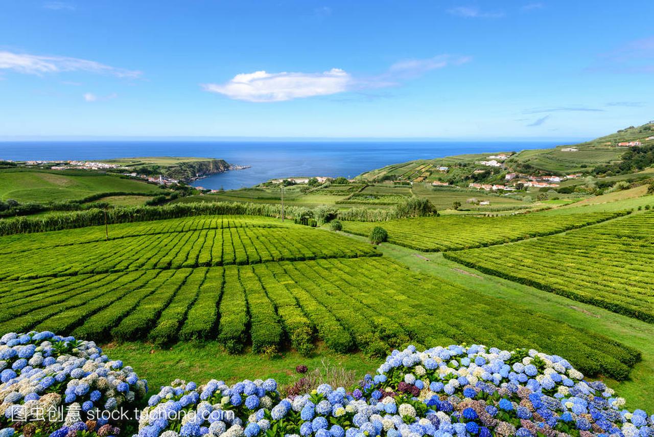 在葡萄牙的亚速尔群岛岛屿惊人的景观。圣米格