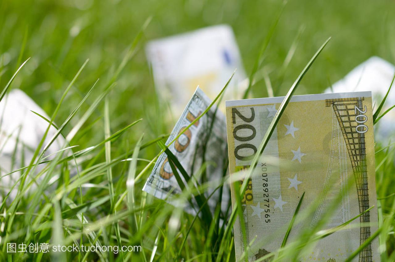 绿草中的美元和欧元面额